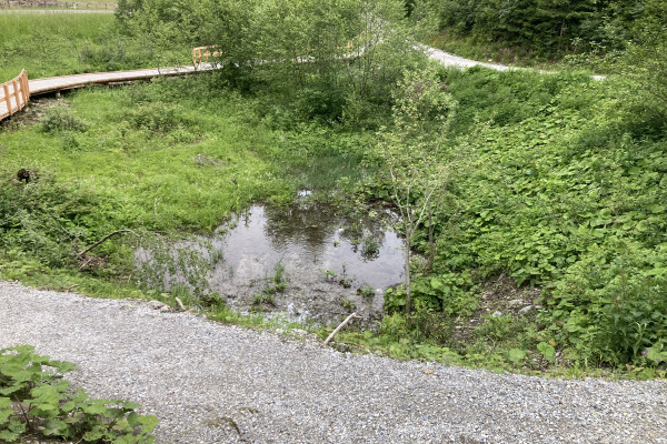 IMG 7788