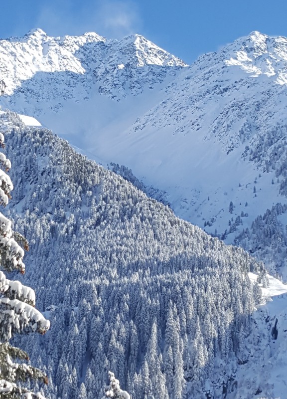 Illmer Header